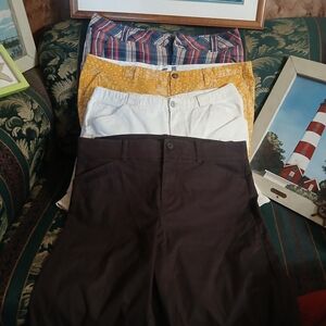Womens Size14 Shorts Bundle